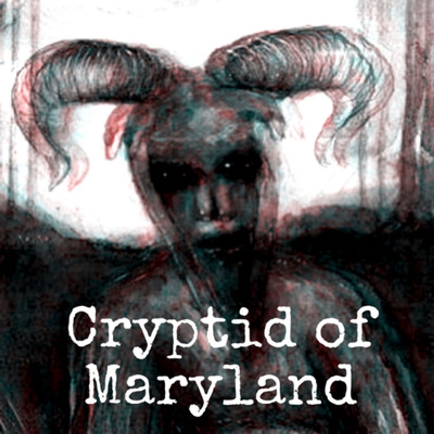 Perplexity: A Mystery Podcast
