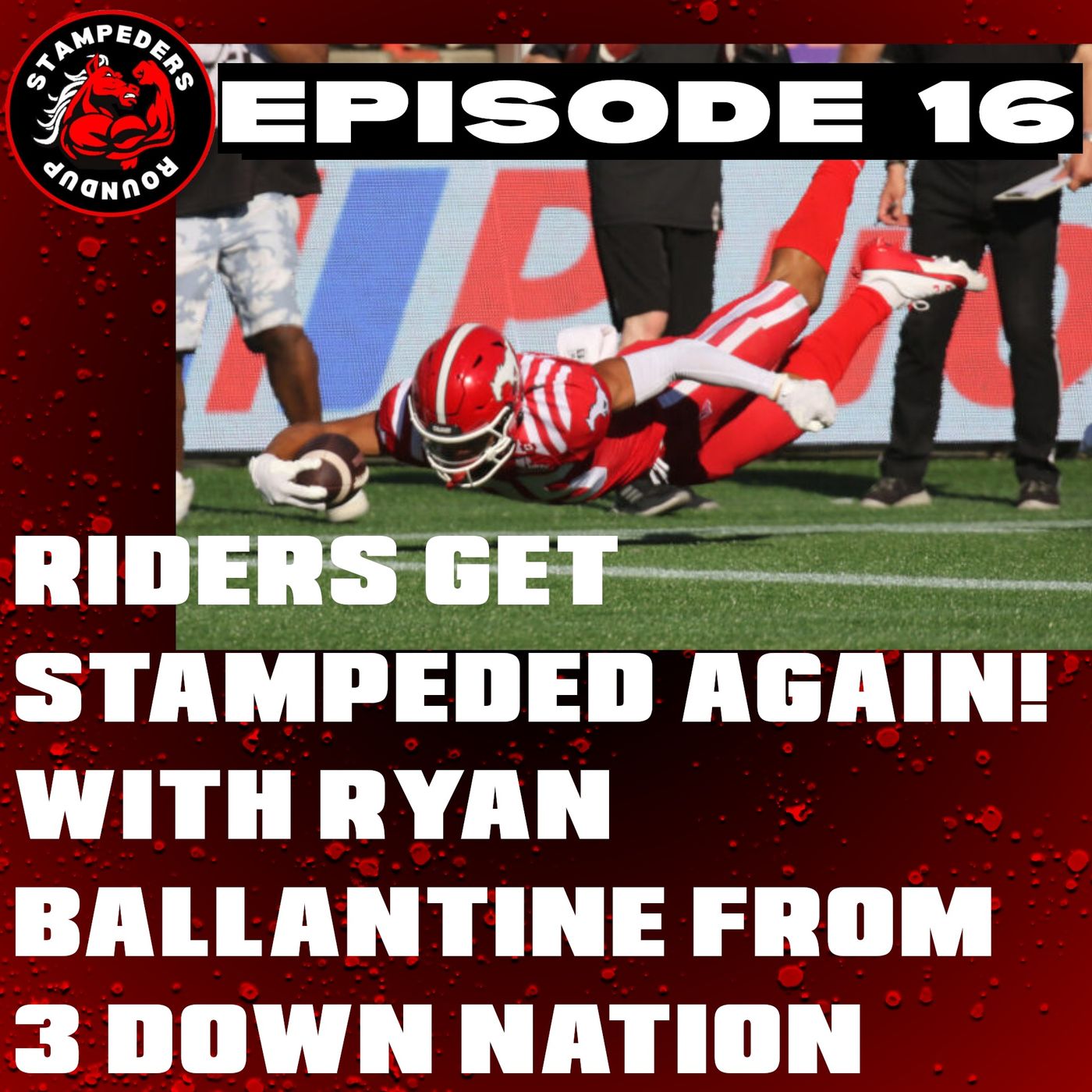 Stampeders Roundup
