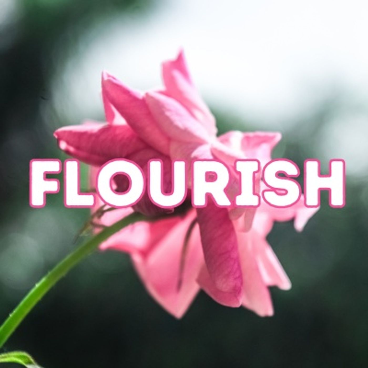 The Flourish Frequency with Beth Larsen: Activate  Your Energy, Amplify Your Life