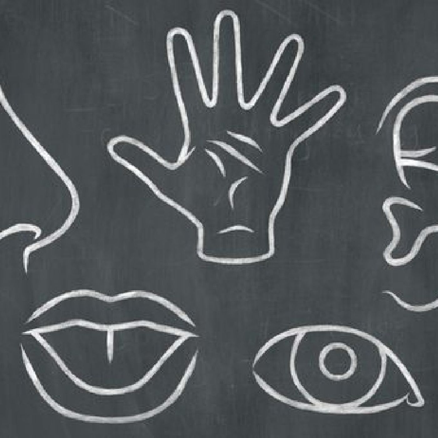 Emotional intelligence for daily life
