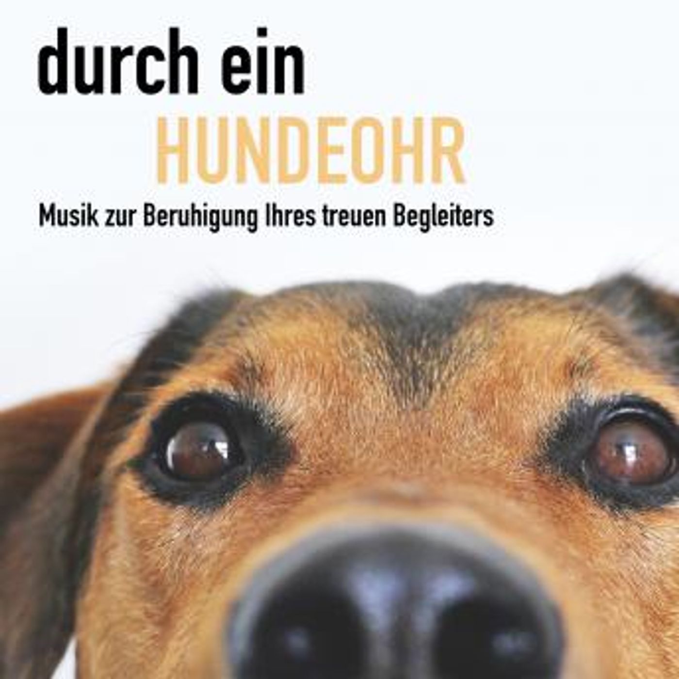 Download New Full Audiobooks in Non-Fiction, Animals & Nature