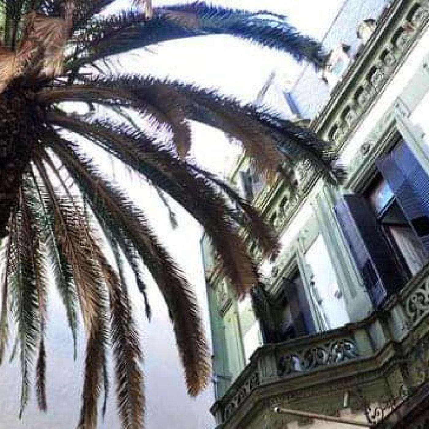 - La trágica historia de la casa de la palmera