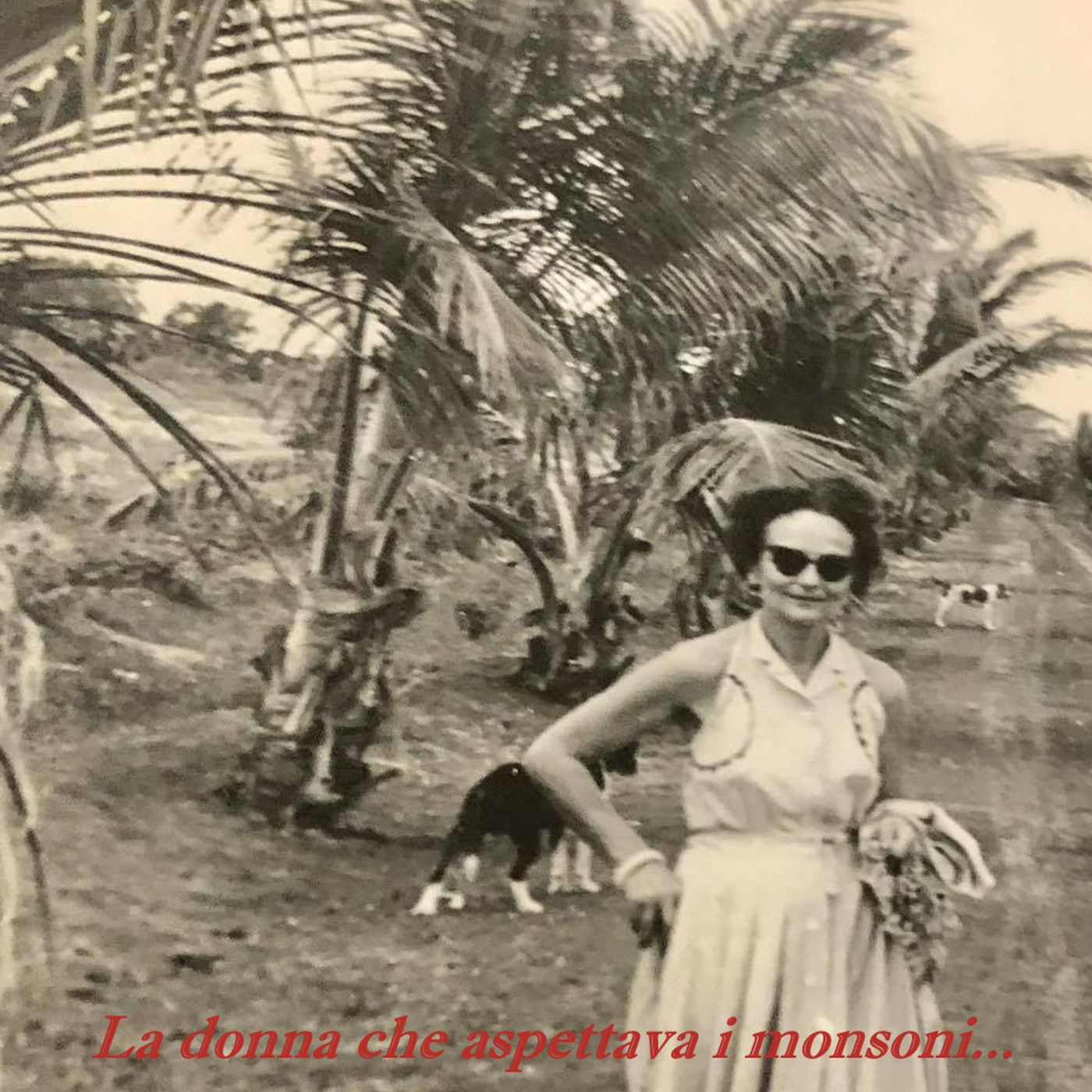 Frammenti di Storia