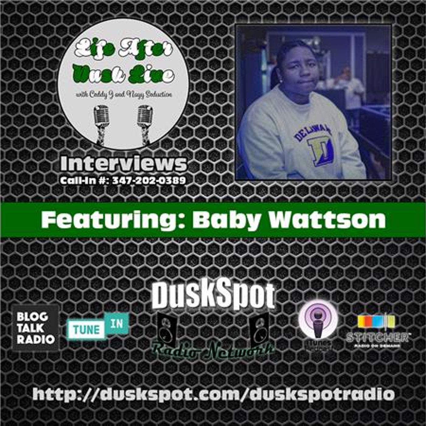 Artist Baby Wattson episode artwork