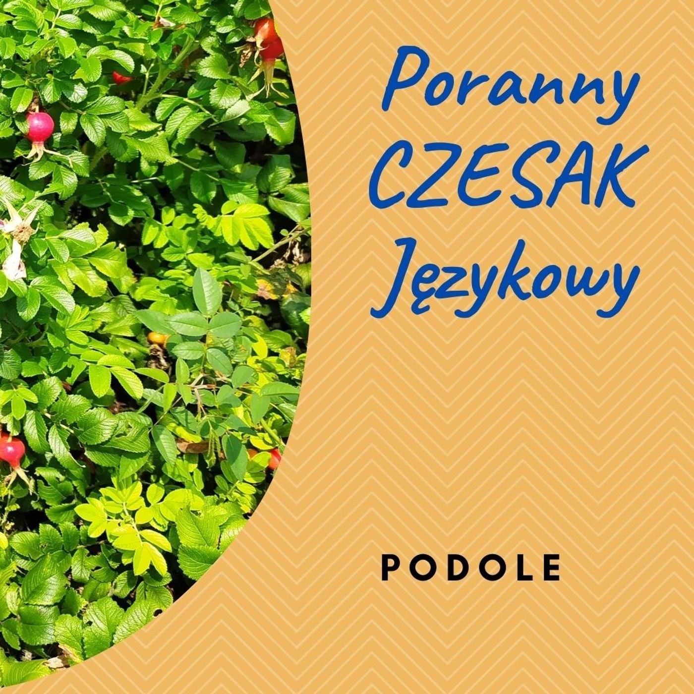 Poranny Czesak Językowy