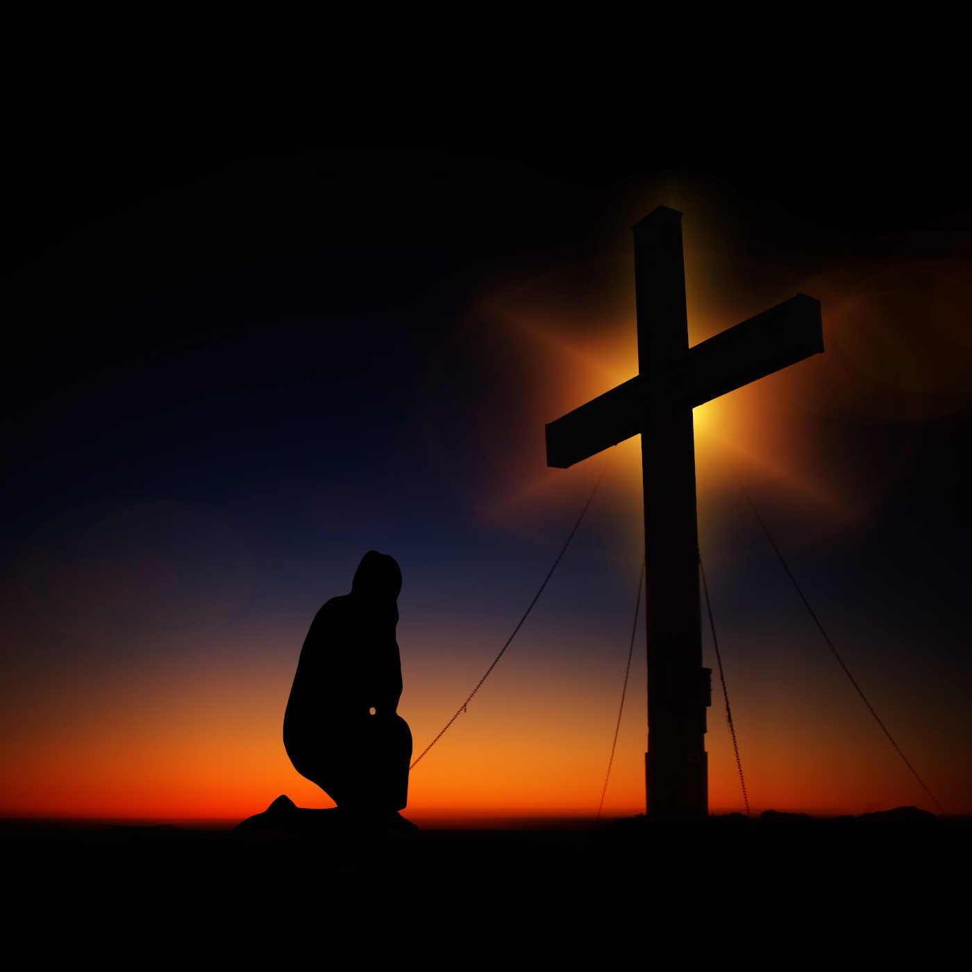 Reflection 87- The Will of God in All Things episode artwork