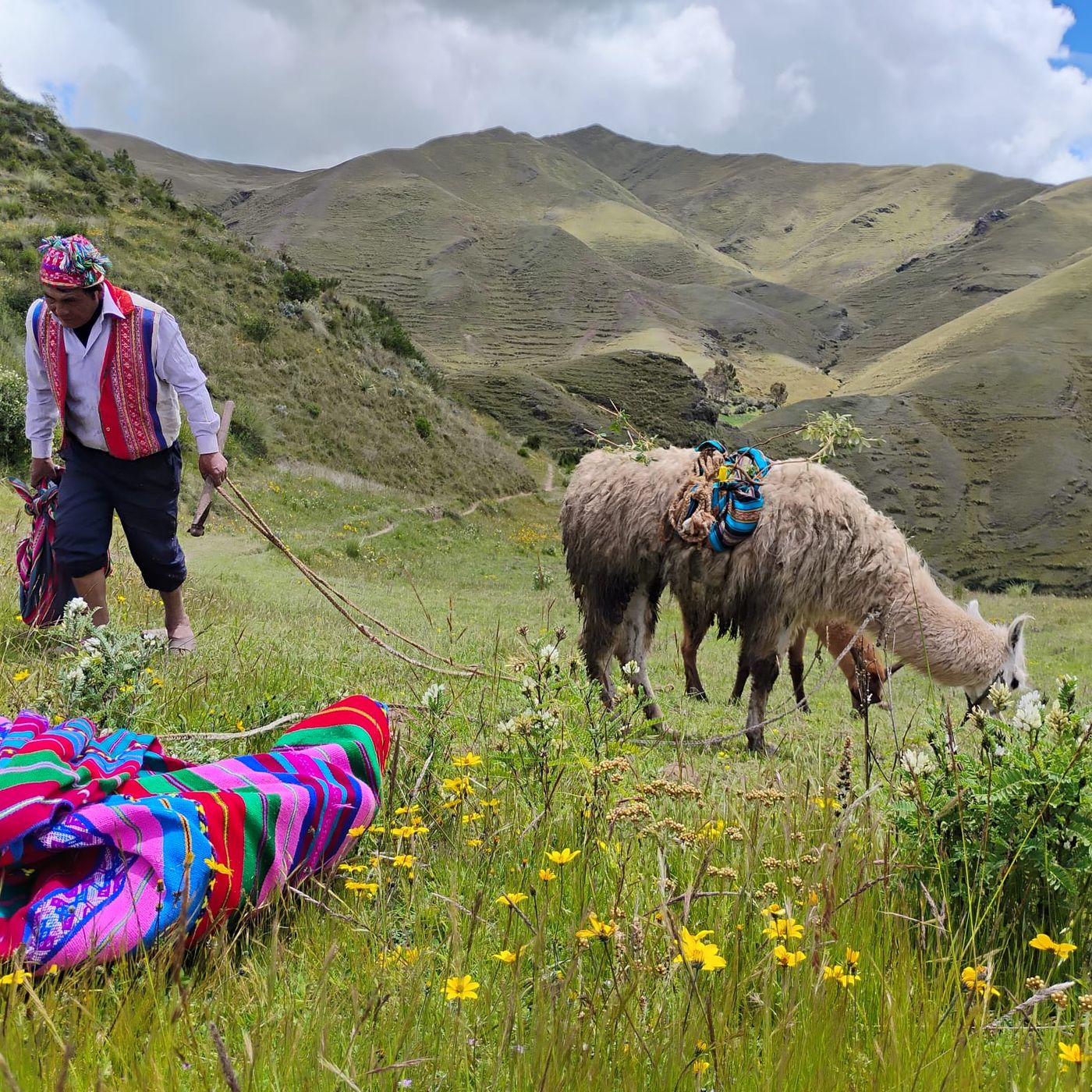 Episode 23 | Reforesting the Andes: One tree at a time
