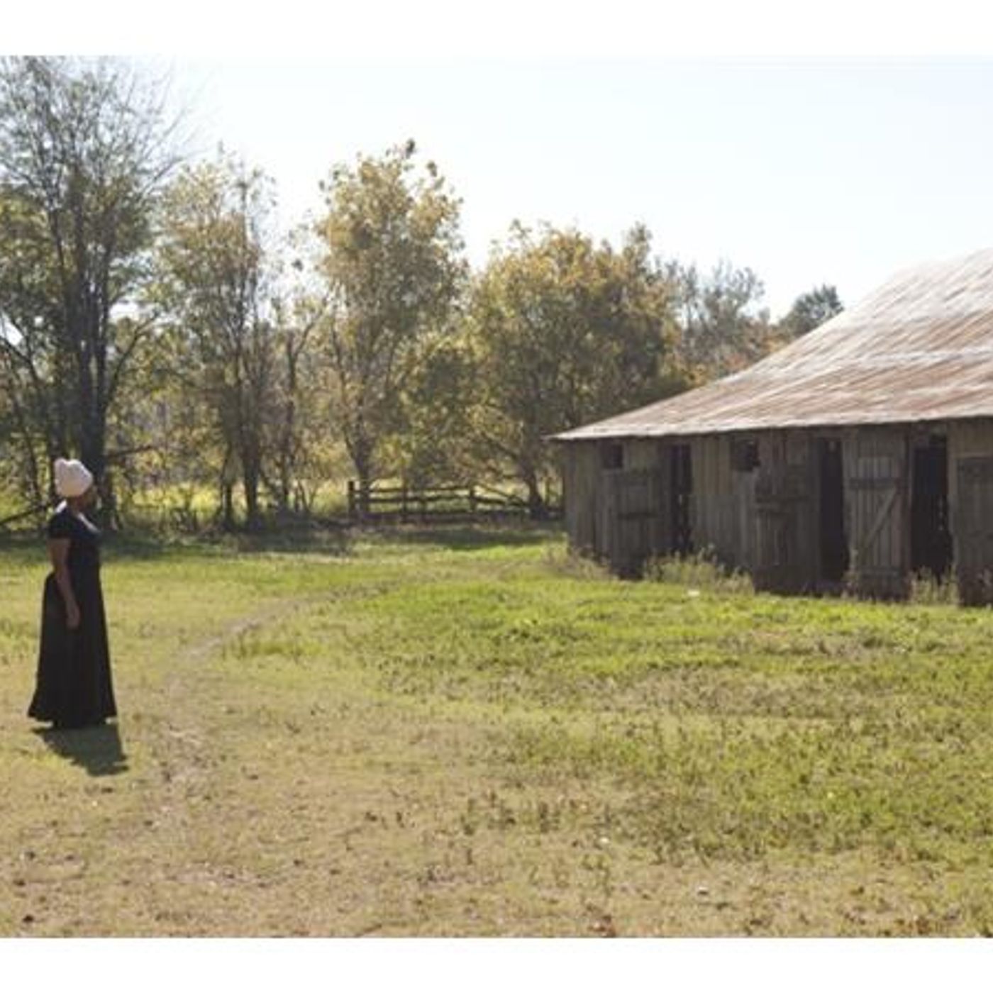 Modern Day Plantations with Antoinette Harrell