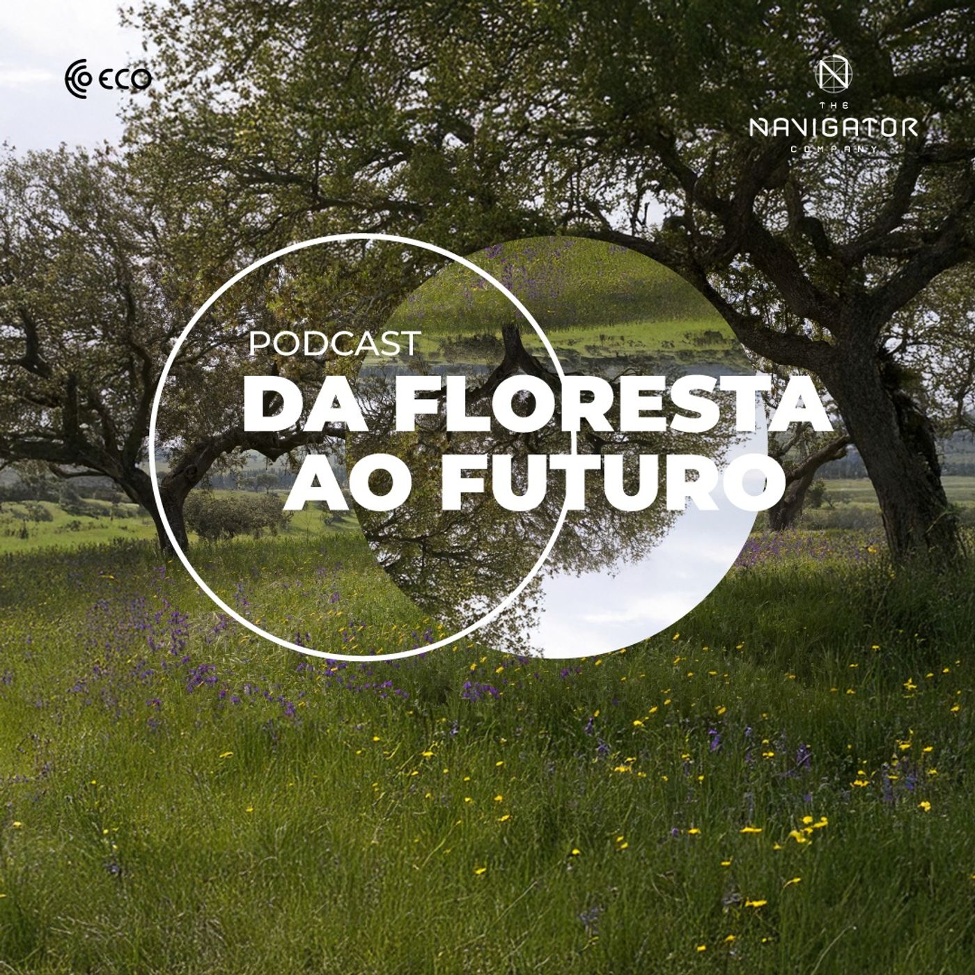Da Floresta ao Futuro | by Navigator