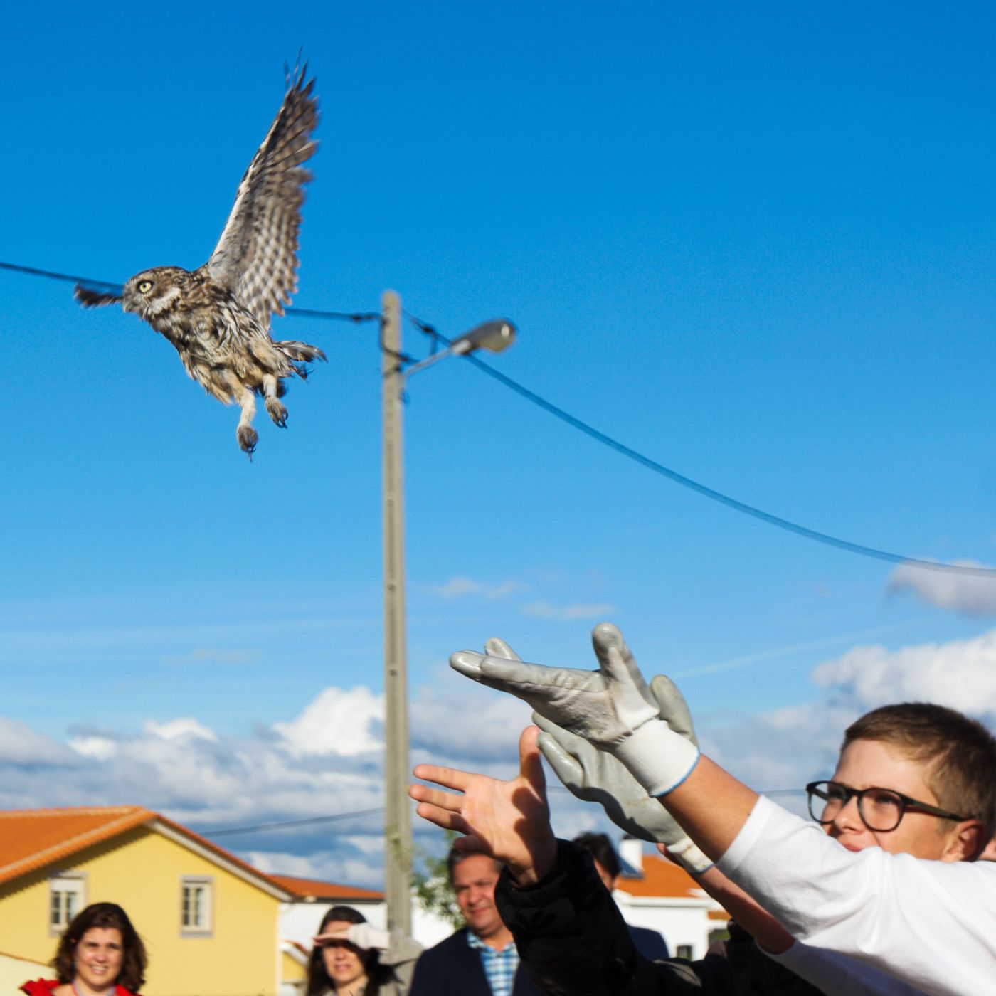 O que hai que escoitar