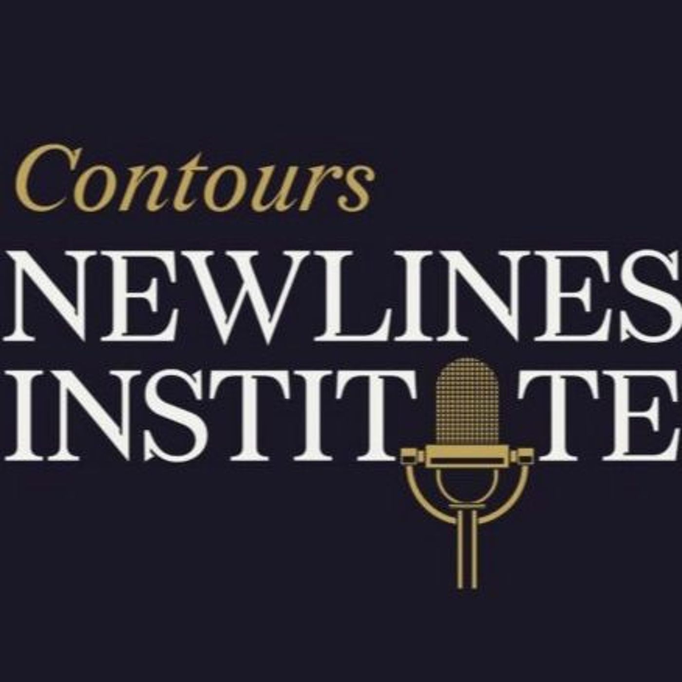 Newlines Institute for Strategy and Policy