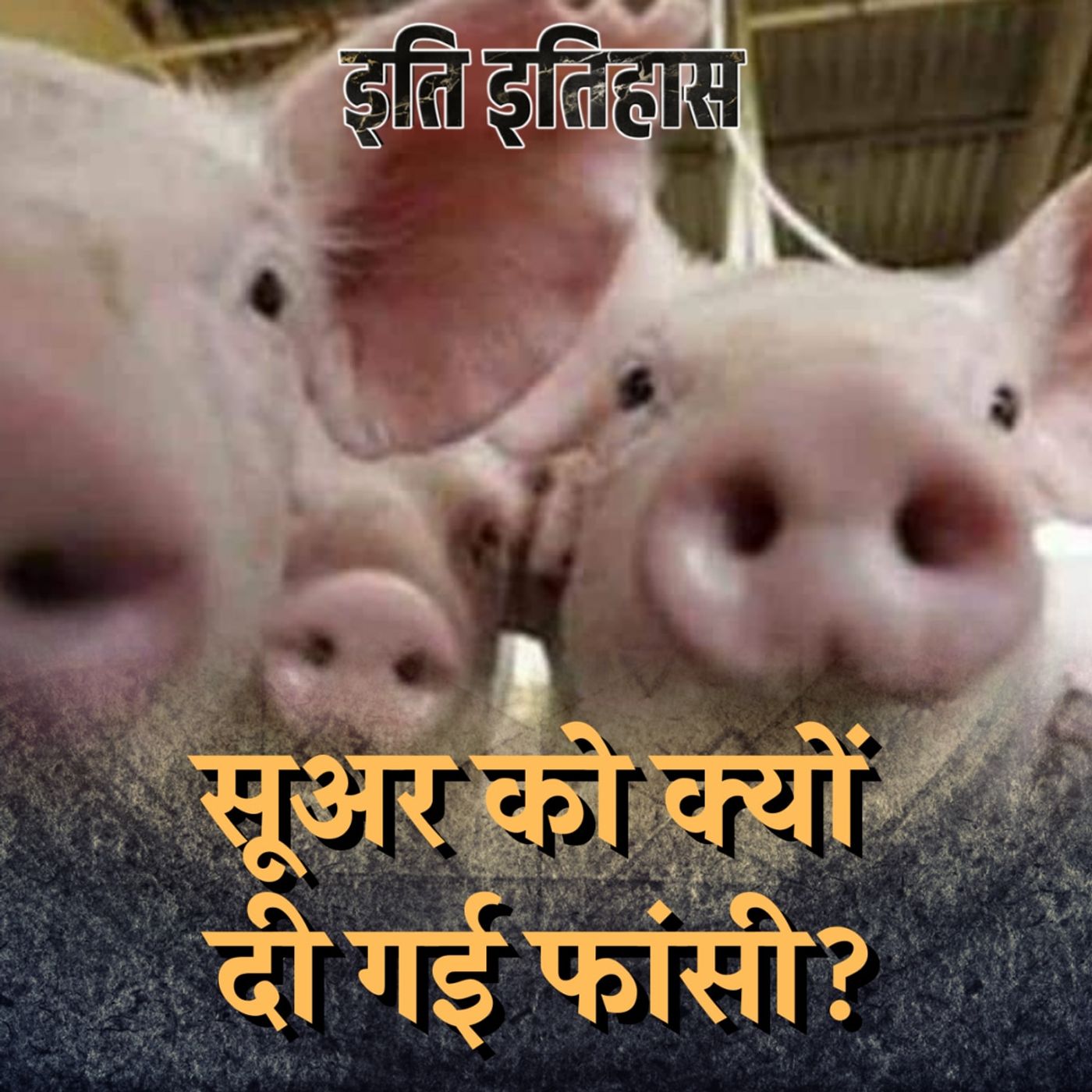 सूअर ने ऐसा क्या किया जिसकी वजह से फांसी दी गई?: इति इतिहास, Ep 148