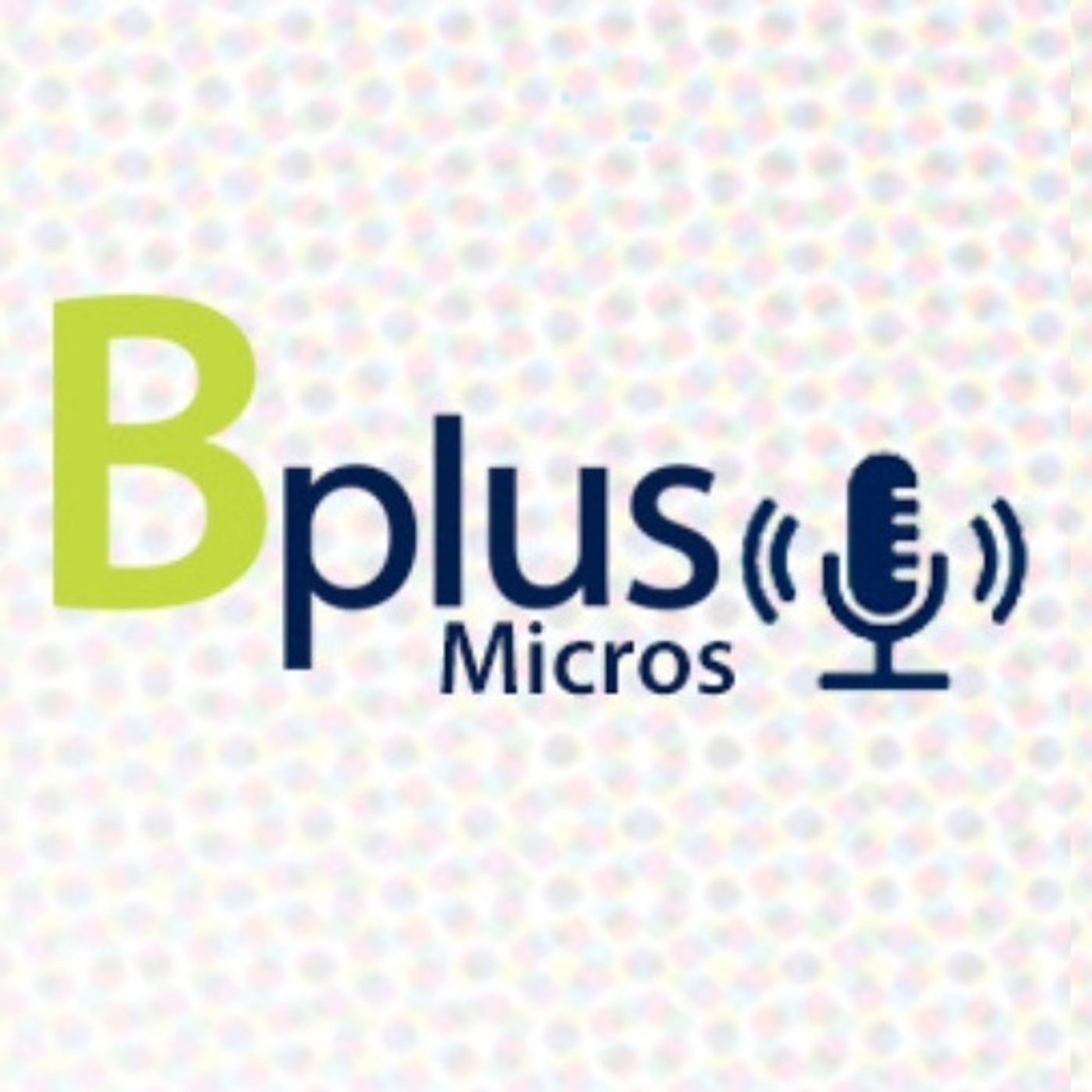 Micros Financieros Bplus