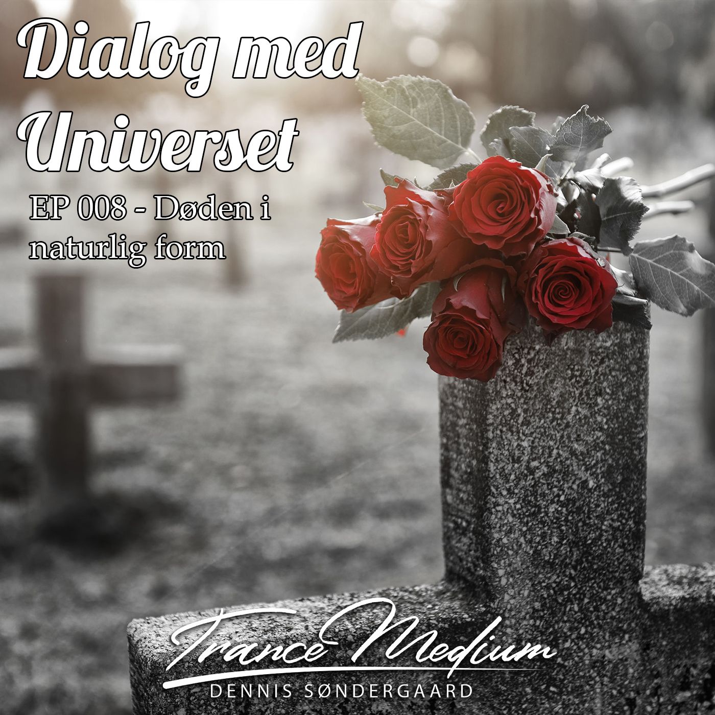 Dialog med Universet