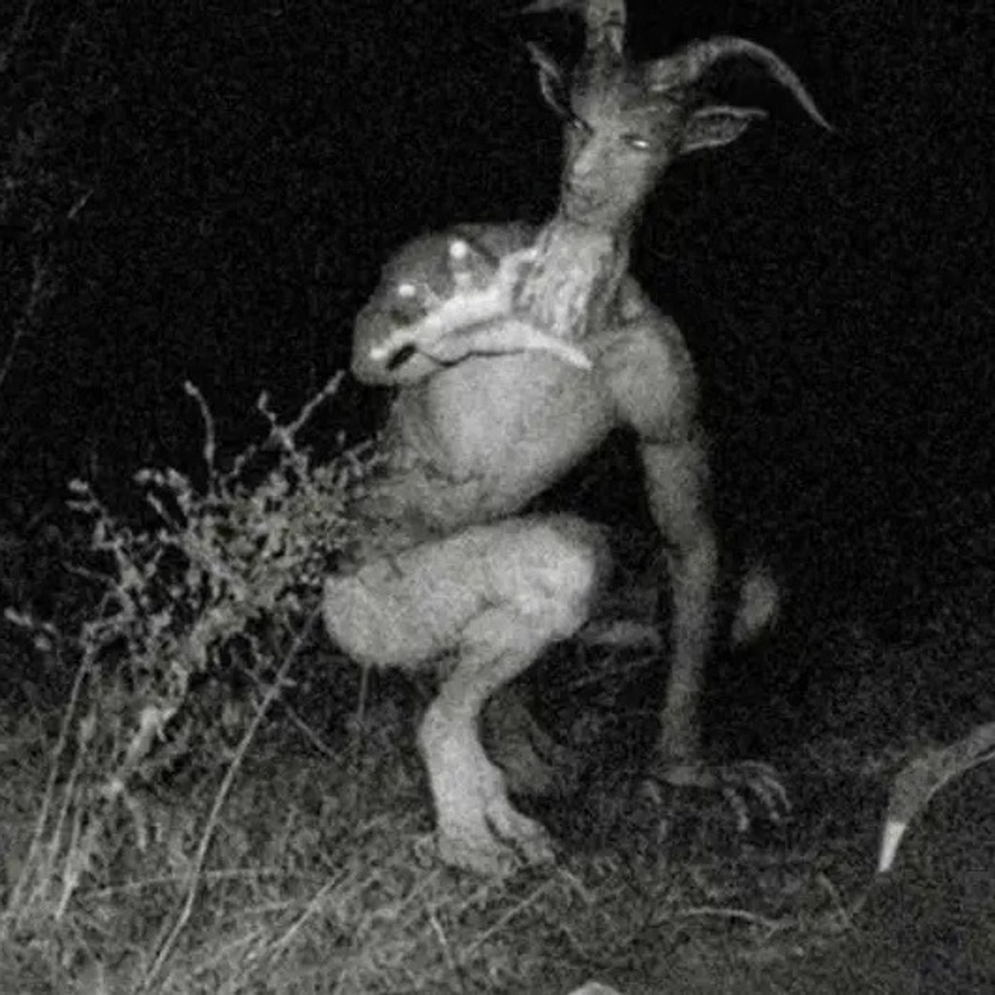 Portada de Creepypastas en español