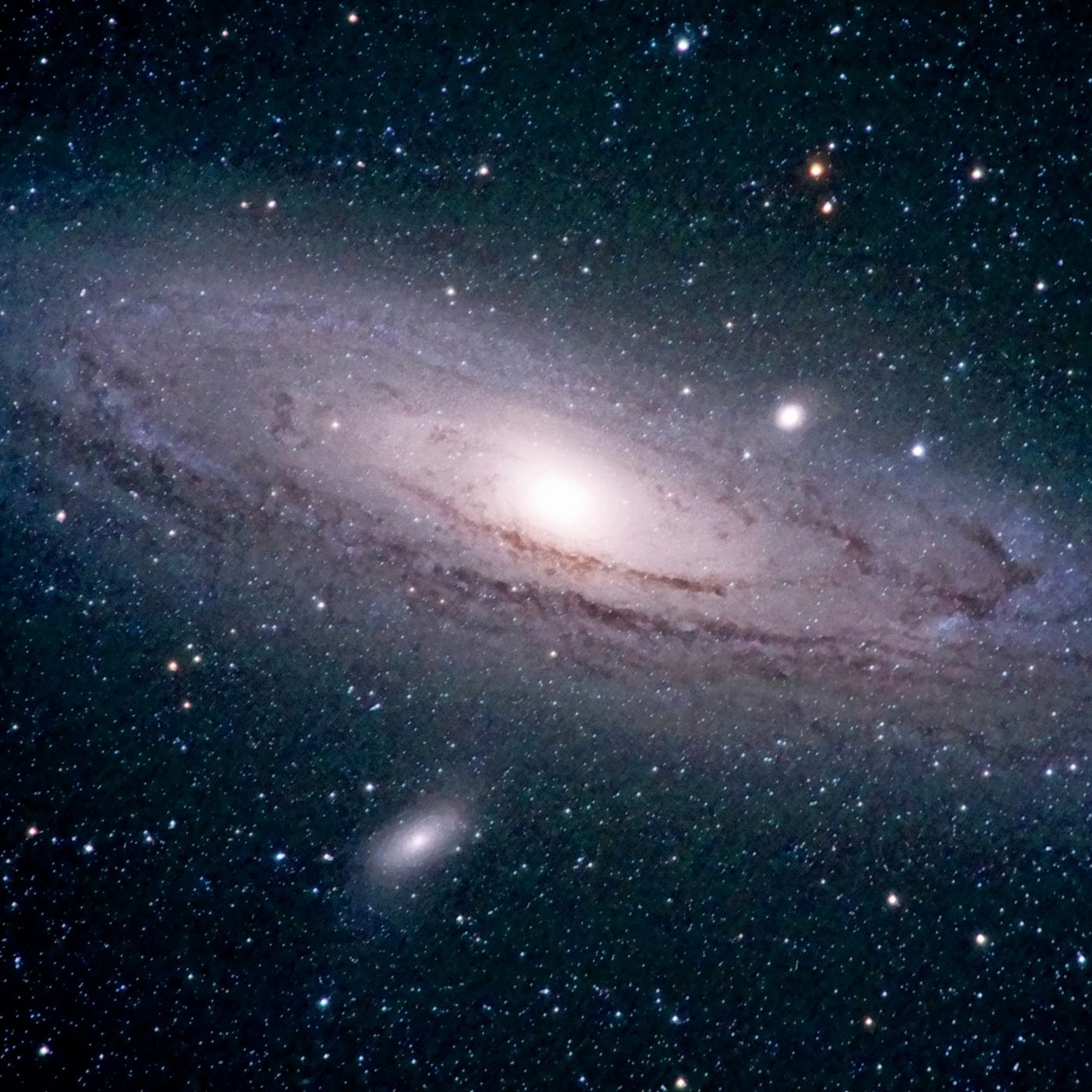 BROJO: Confidence. Clarity. Connection.