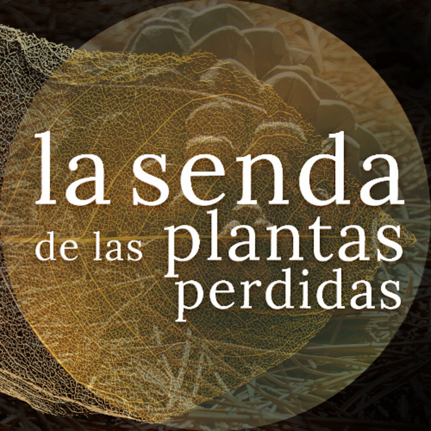 La Senda de las Plantas Perdidas