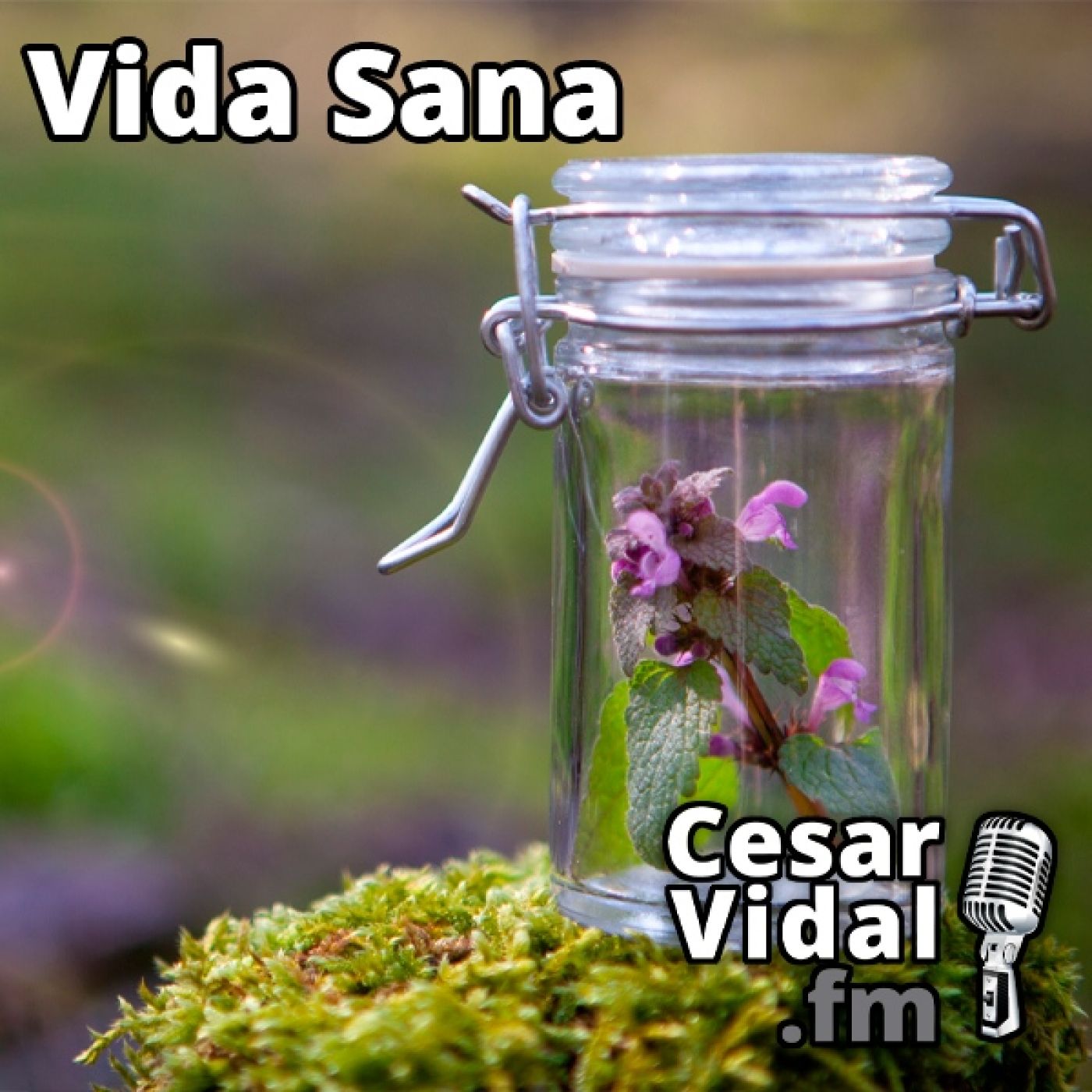 La Voz de César Vidal