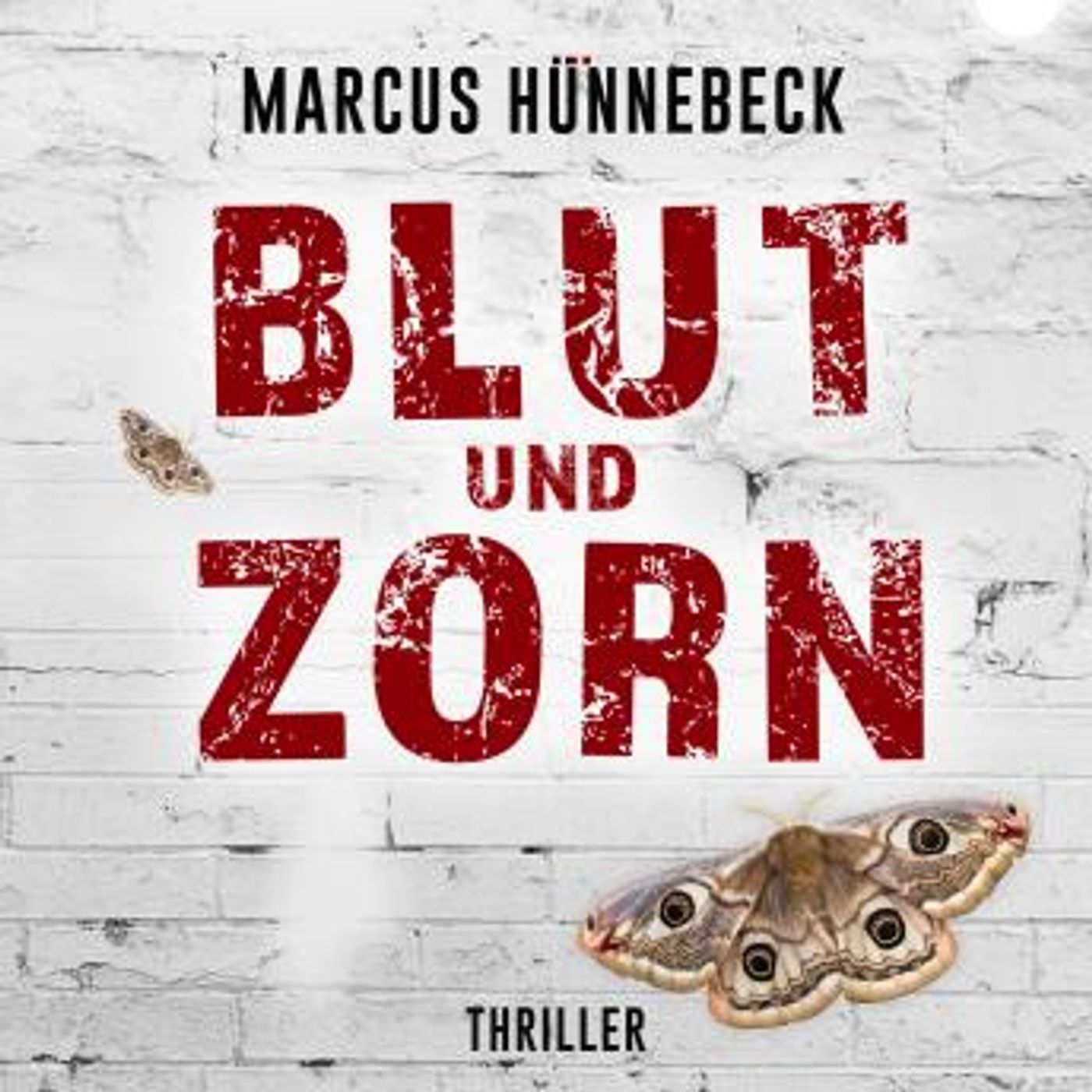 Full Audiobooks in Mystery, Thriller & Horror, Suspense