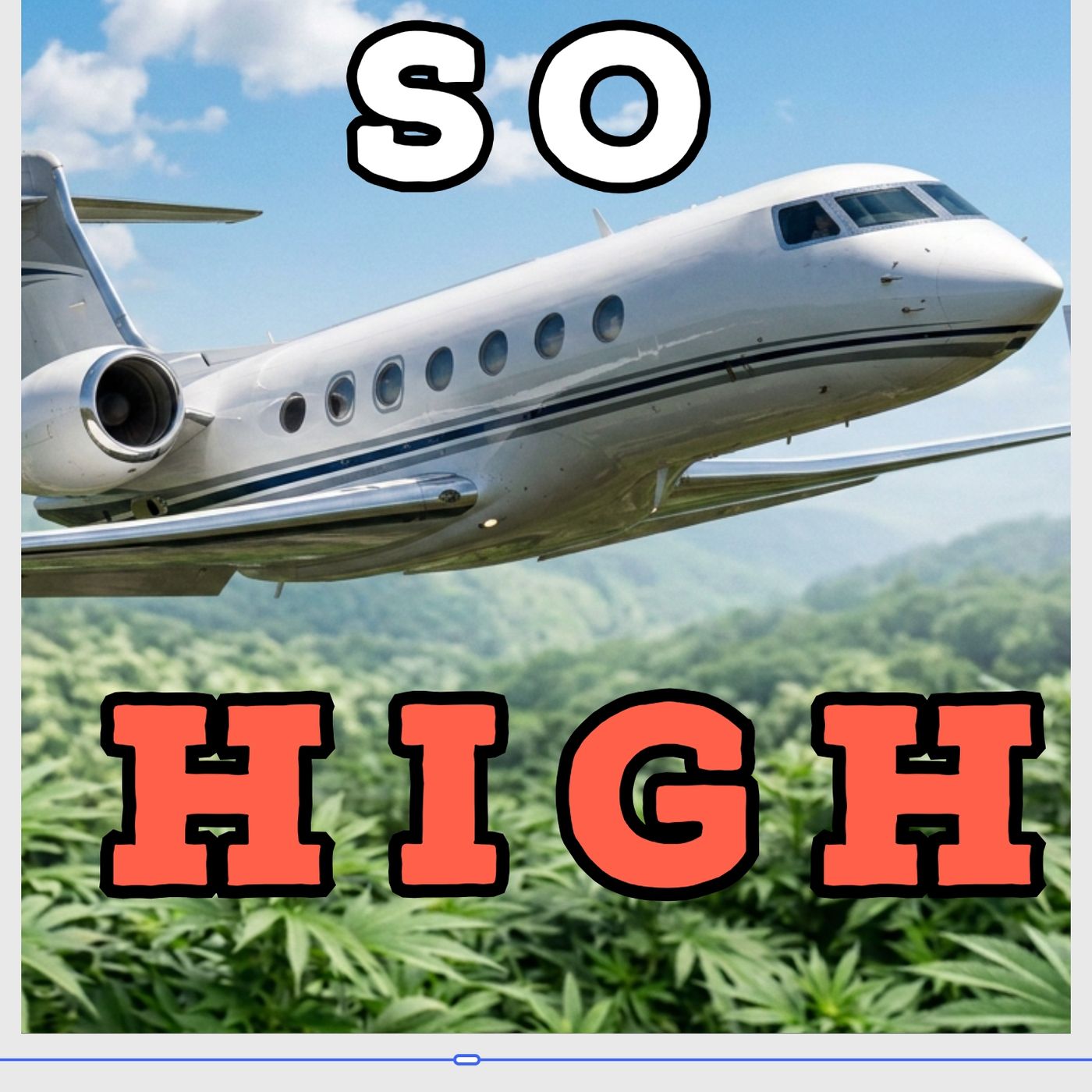 From PRIVATE JETS to Federal Prison…