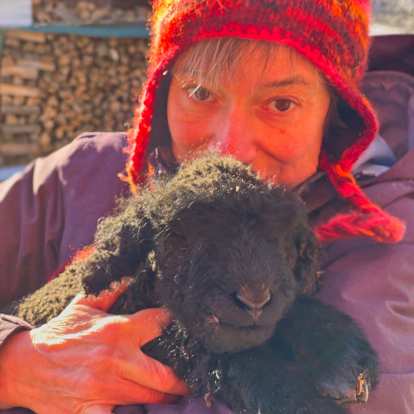 Robin The Lamb: A True Story Of Life And Death Robin The Lamb: A True Story Of Life And Death