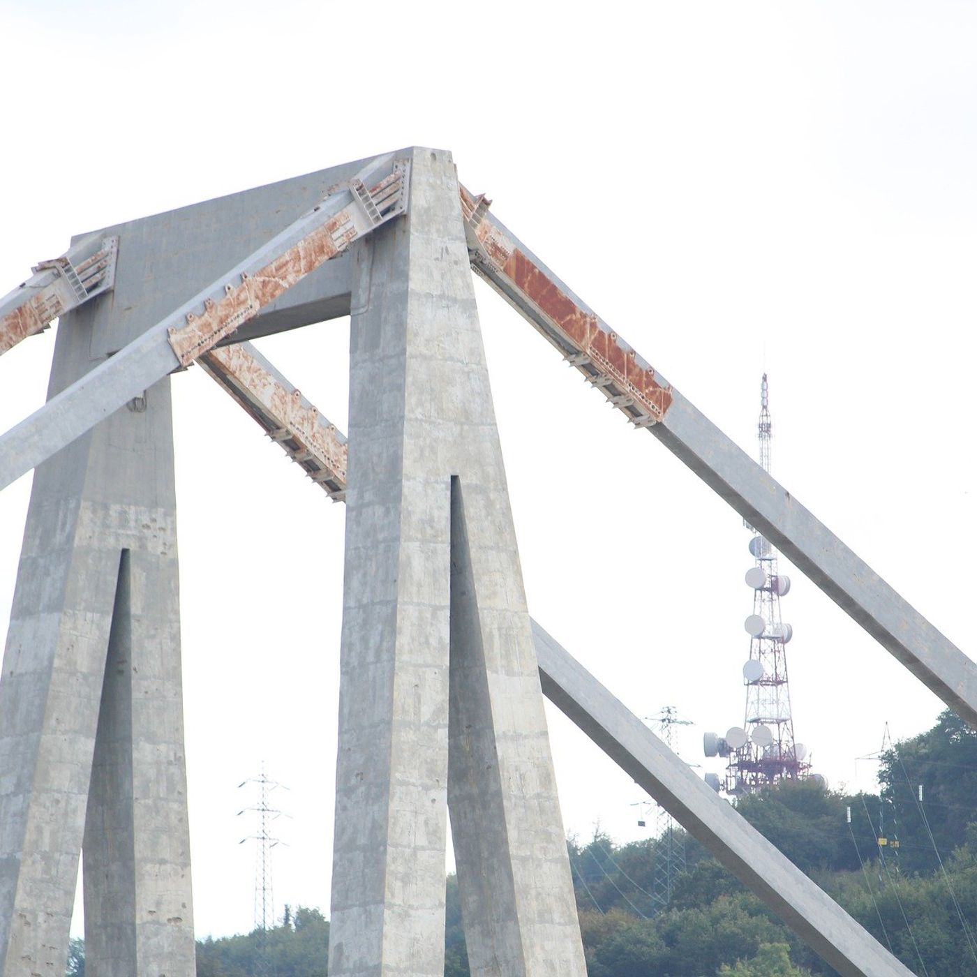 48. Il ponte di Genova