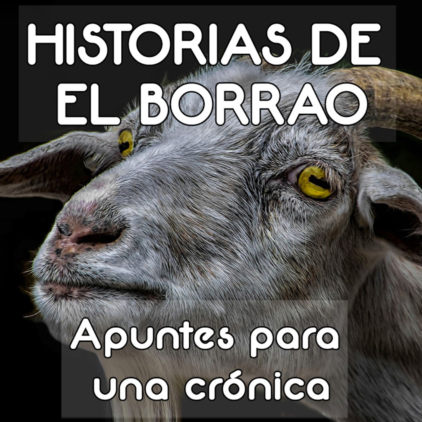 Voces en la Caja