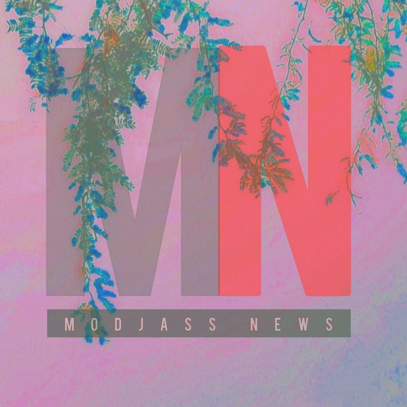 Modjass News