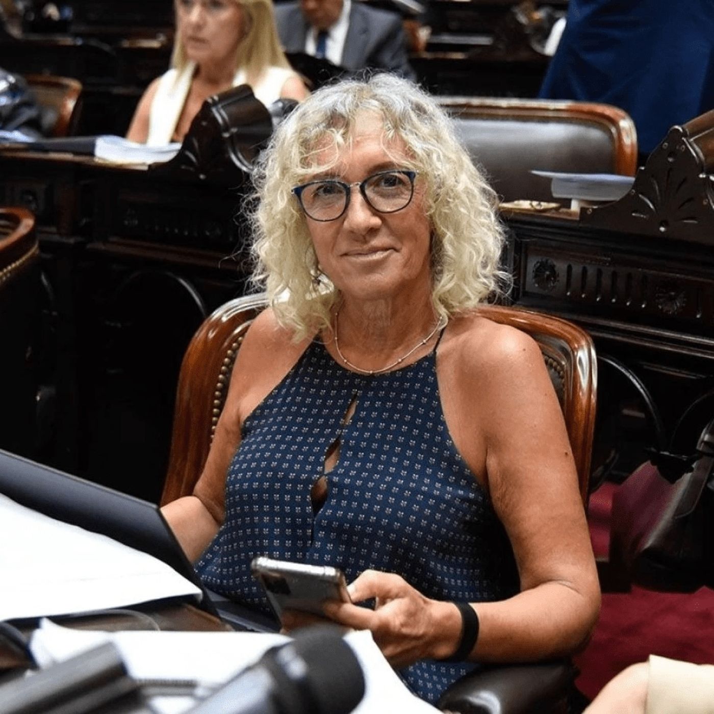 Mónica Frade @MonicaFradeok (Diputada Nacional por la Pcia. Bs As. Coalición Cívica, en JxC) Unas Cuantas Verdades