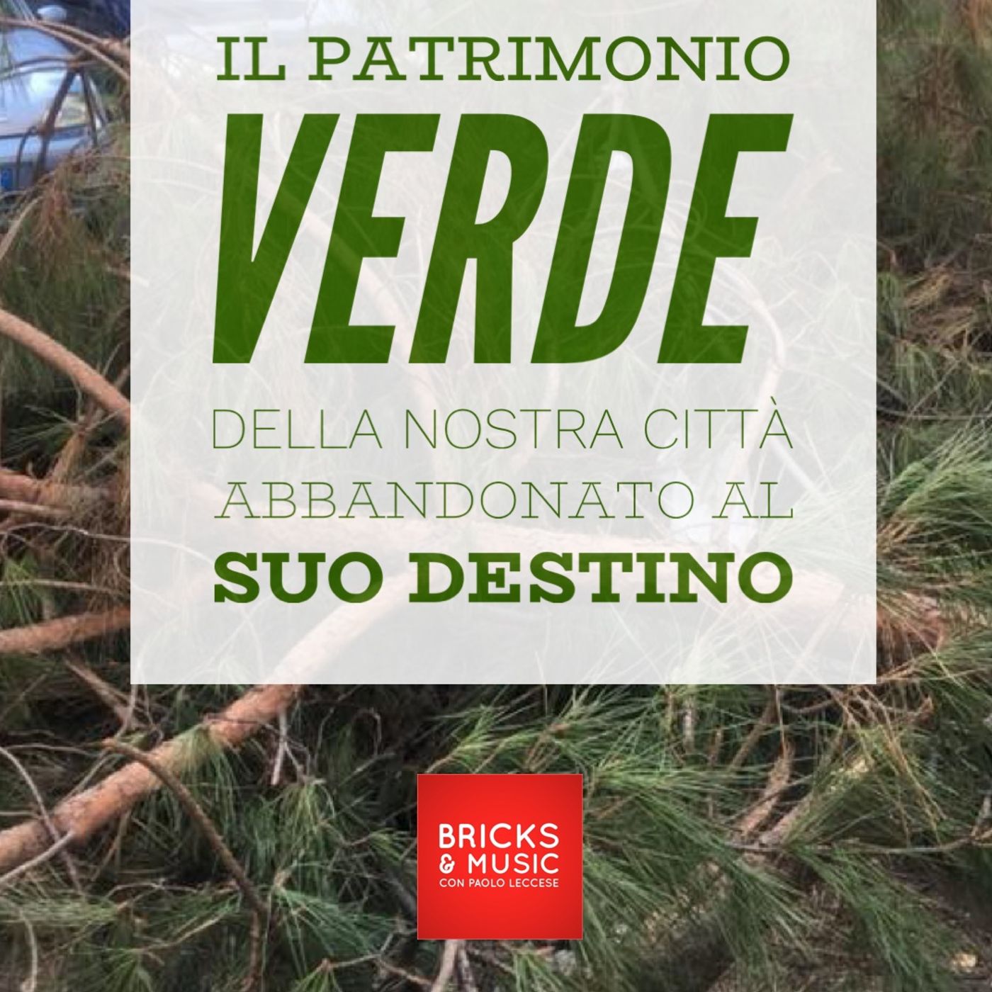 BM - Puntata n. 67 - Il patrimonio VERDE di Roma abbandonato al suo destino episode artwork