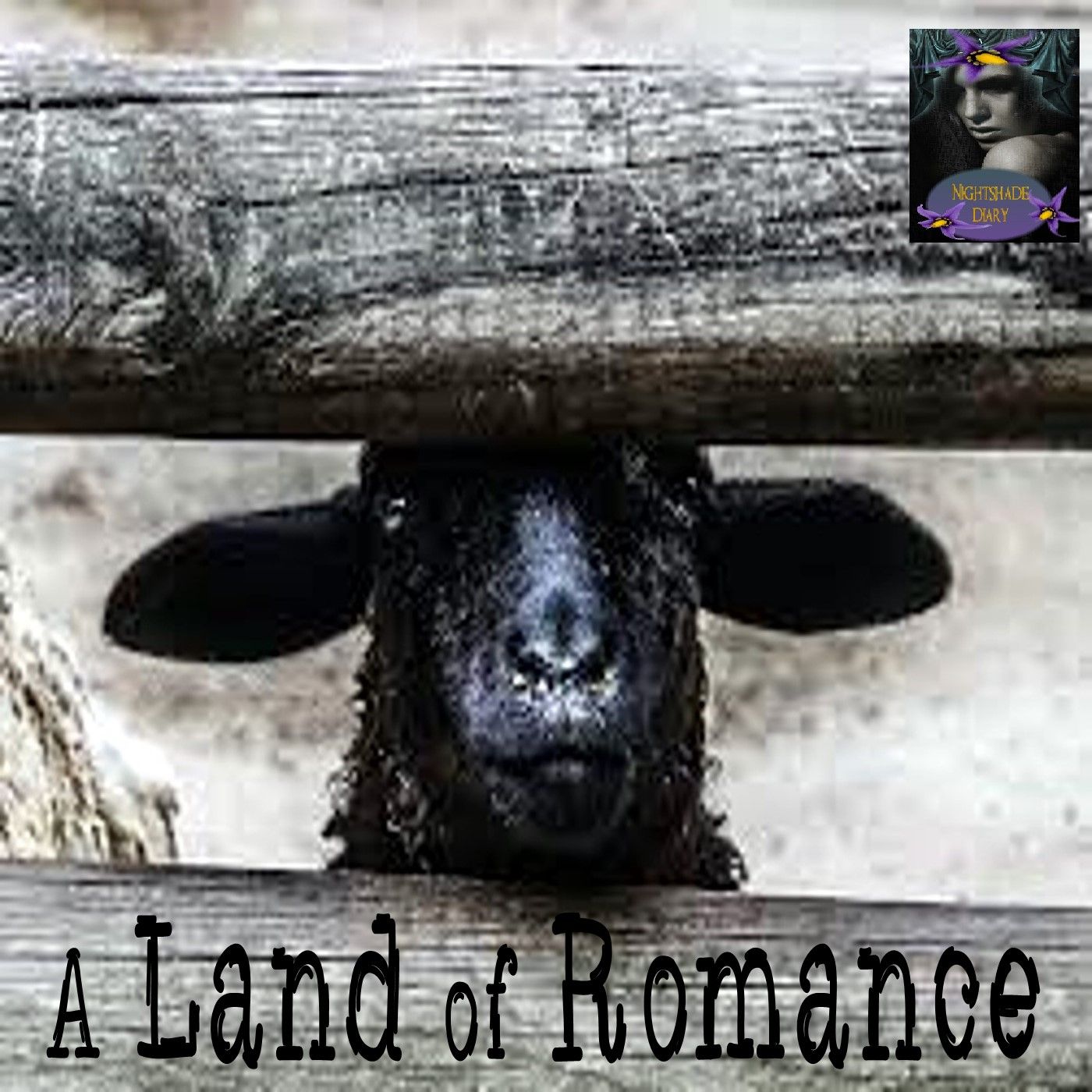 A Land of Romance | Fantasy Story | Podcast