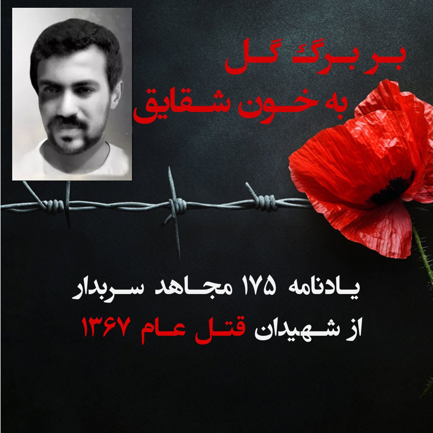بربرگ گل به خون شقایق- حسن معزی-۱۱۷ episode artwork