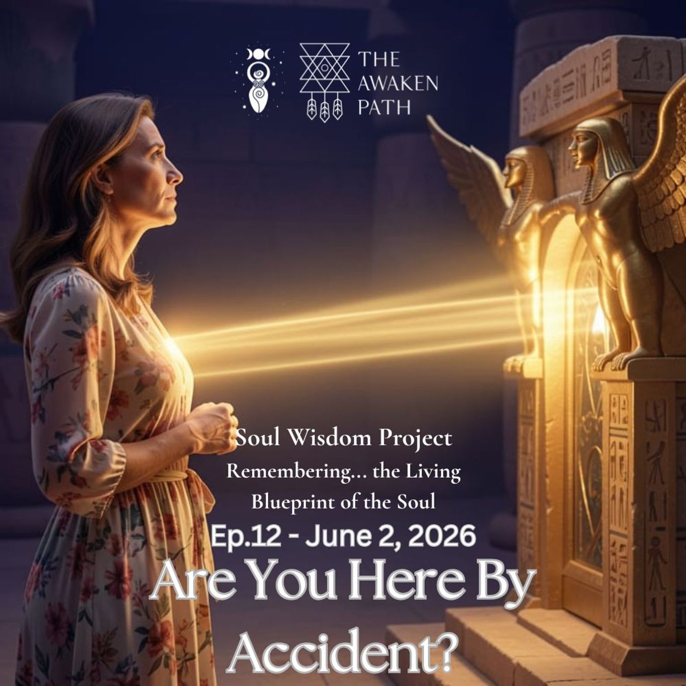 Are You Here By Accident? episode artwork