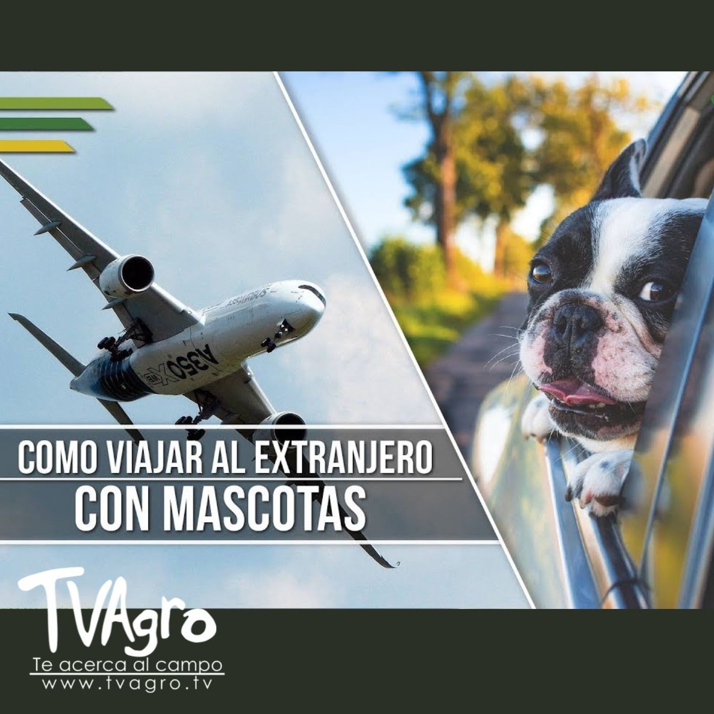 TV AGRO
