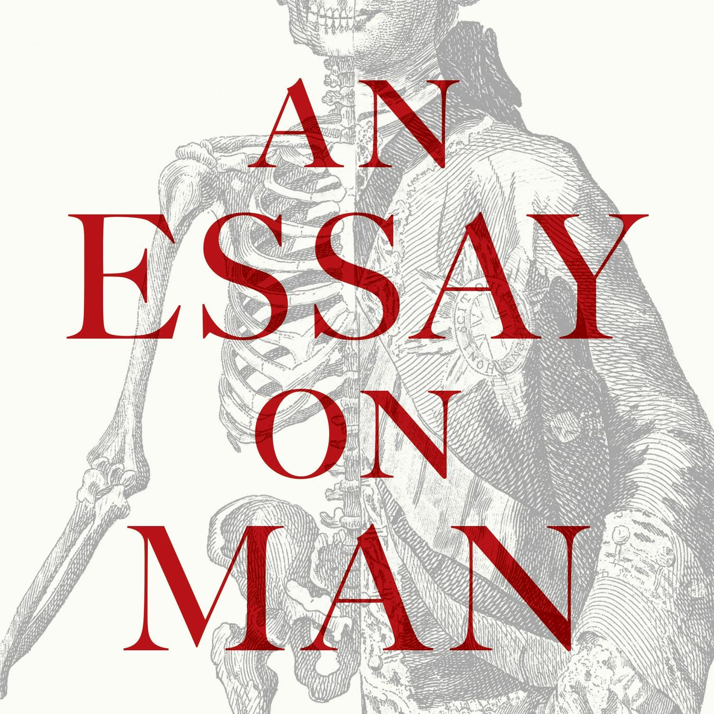 An Essay on Man by Alexander Pope ~ Full Audiobook [philosophy]
