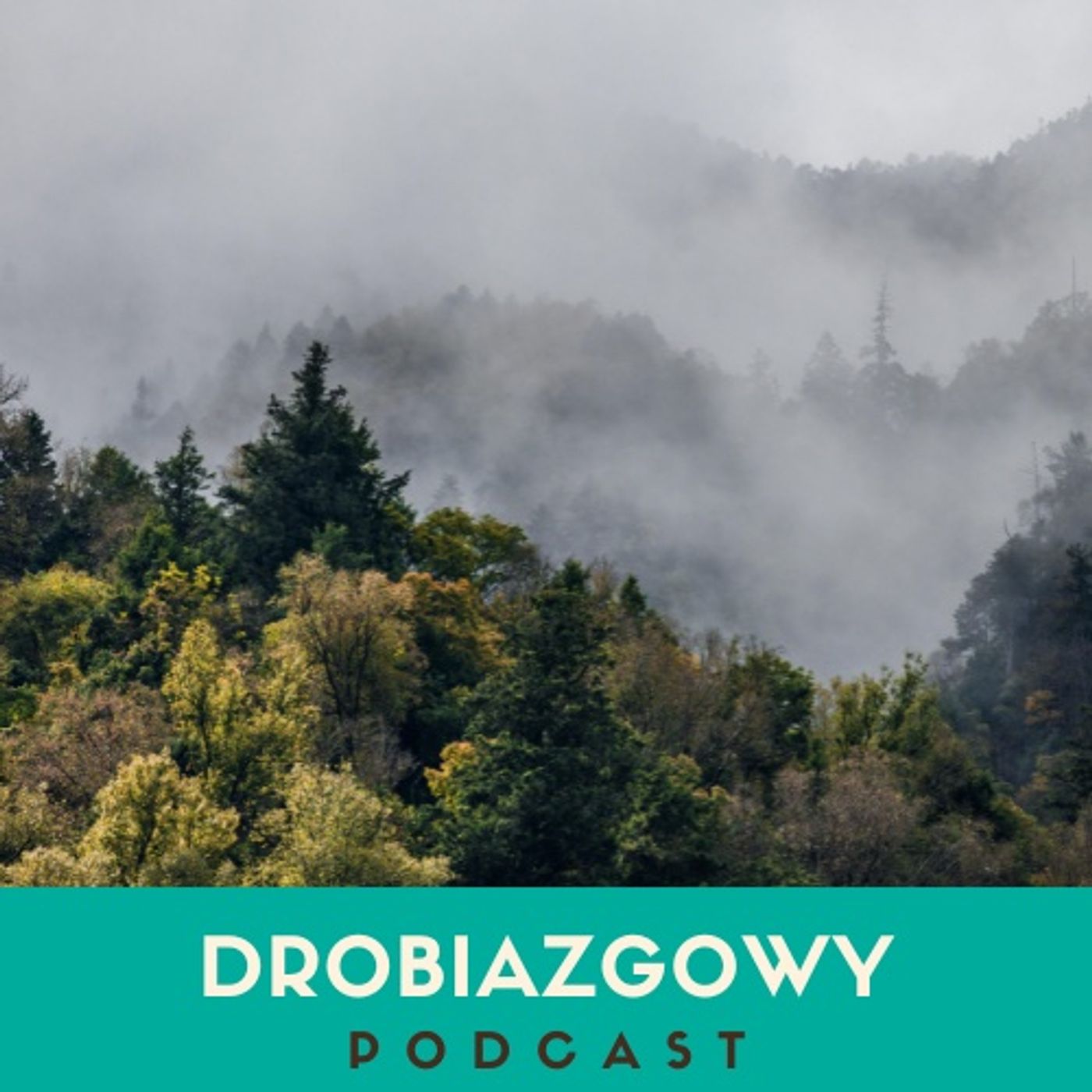Urwany ślad: gdy nie ma odpowiedzi episode artwork