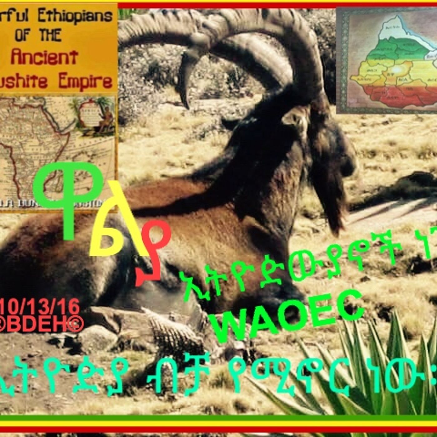 የወያኔን አጋዚ ገዳይ ሀይል አቅም እናዳክም! episode artwork