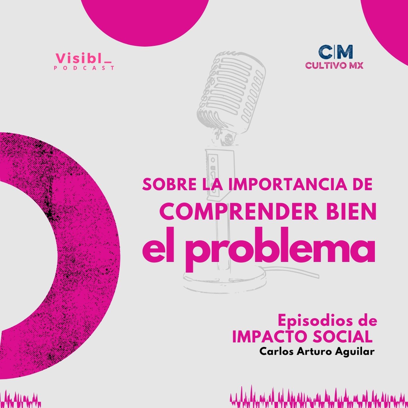 Visibl_  Innovación Social