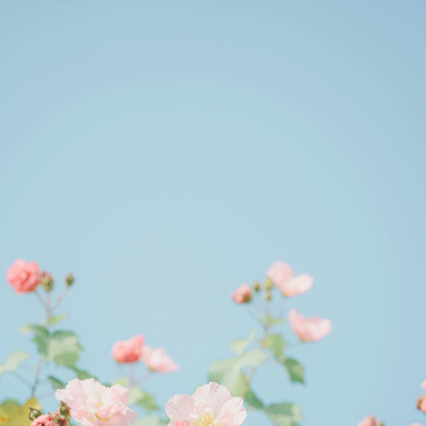 Taking care of ourselves is also growing