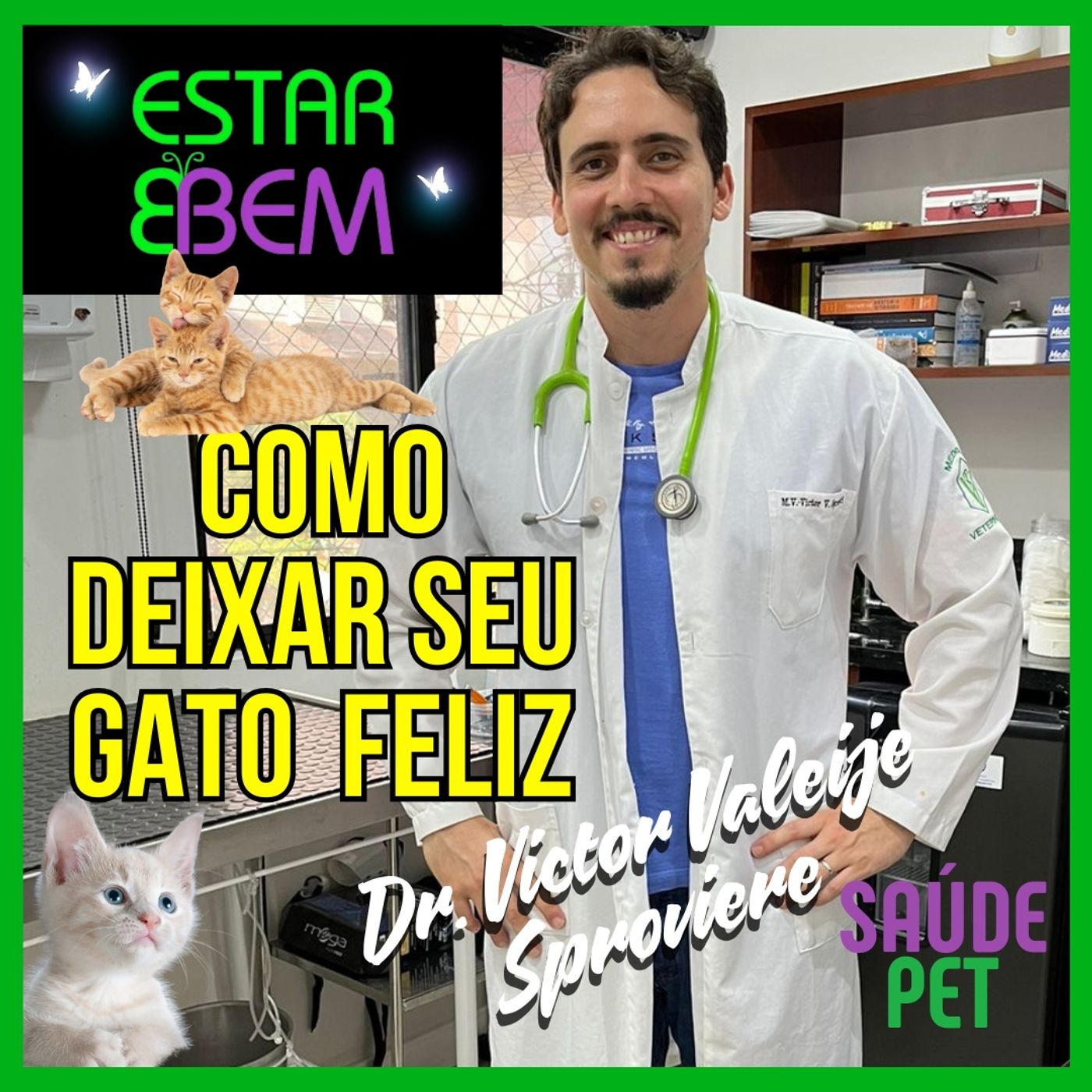 O seu gato mais saudável