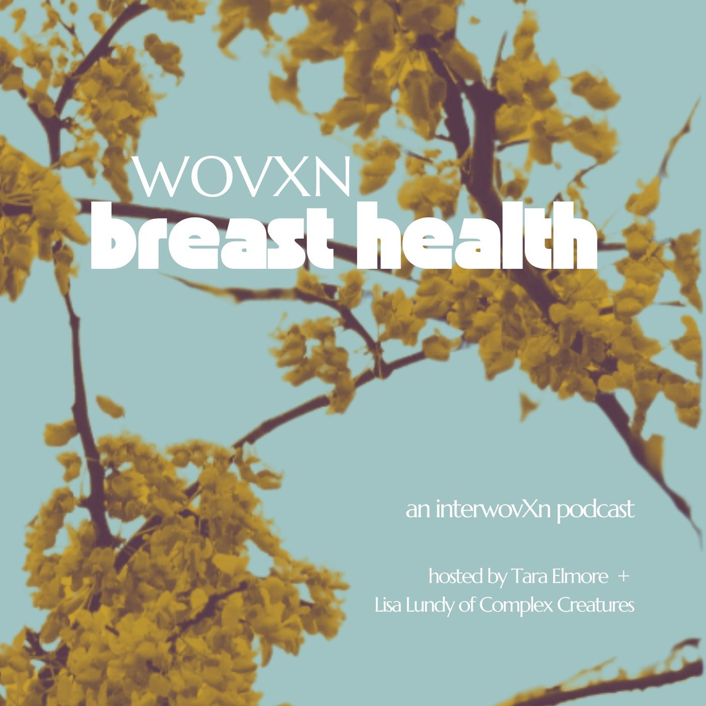 WOVXN Breast Health: Proactive Breast Care episode artwork
