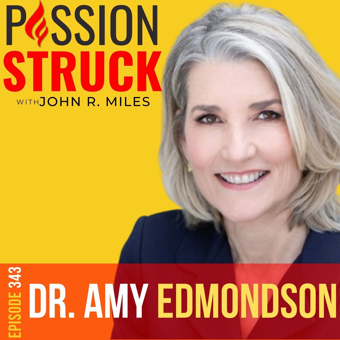 Dr. Amy Edmondson on Why Failure Is the Key to Success EP 343