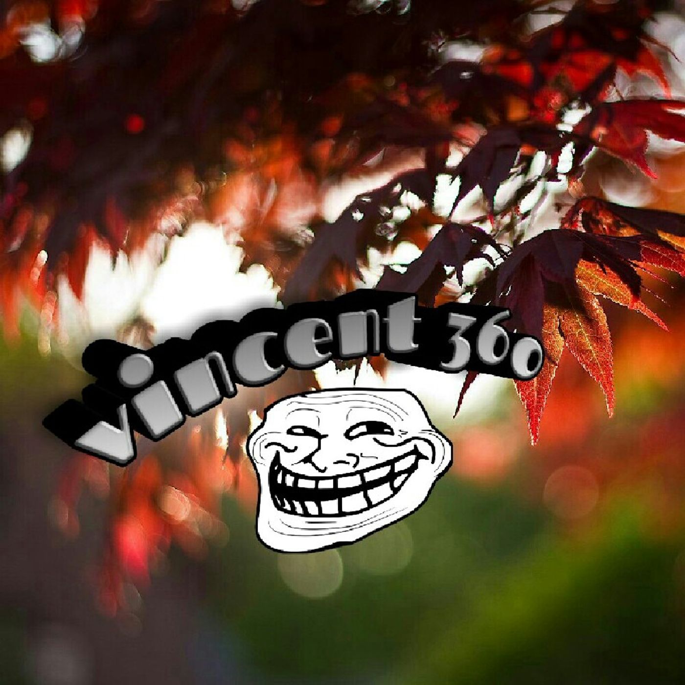 Vincent 360's show