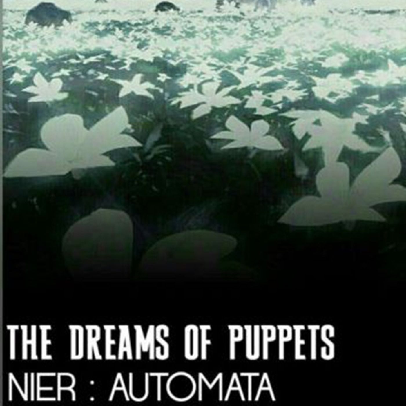 The Dreams Of Puppets