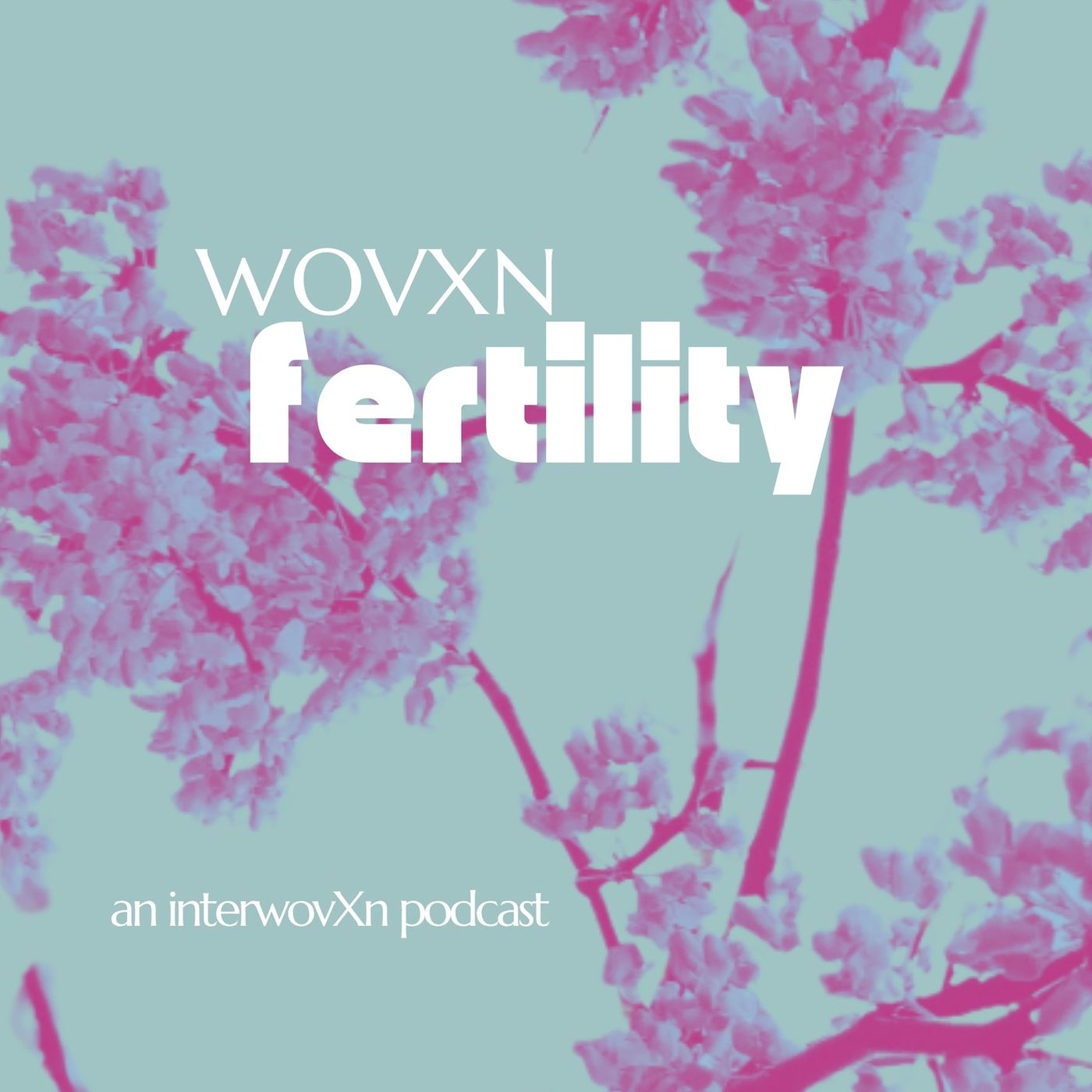 WOVXN Fertility: 10 Fertility Tips episode artwork
