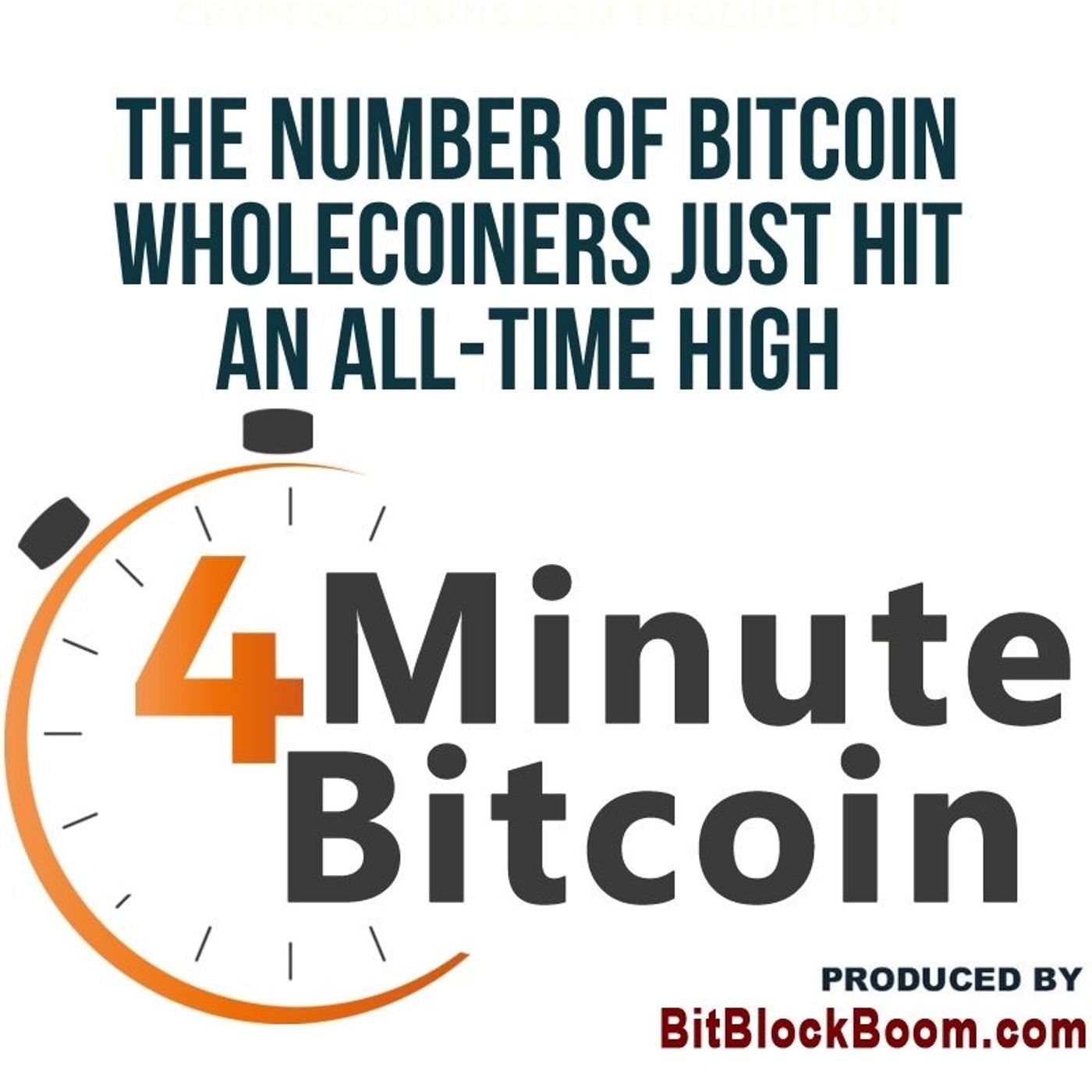 The Number Of Bitcoin Wholecoiners Just Hit An All-Time High episode artwork