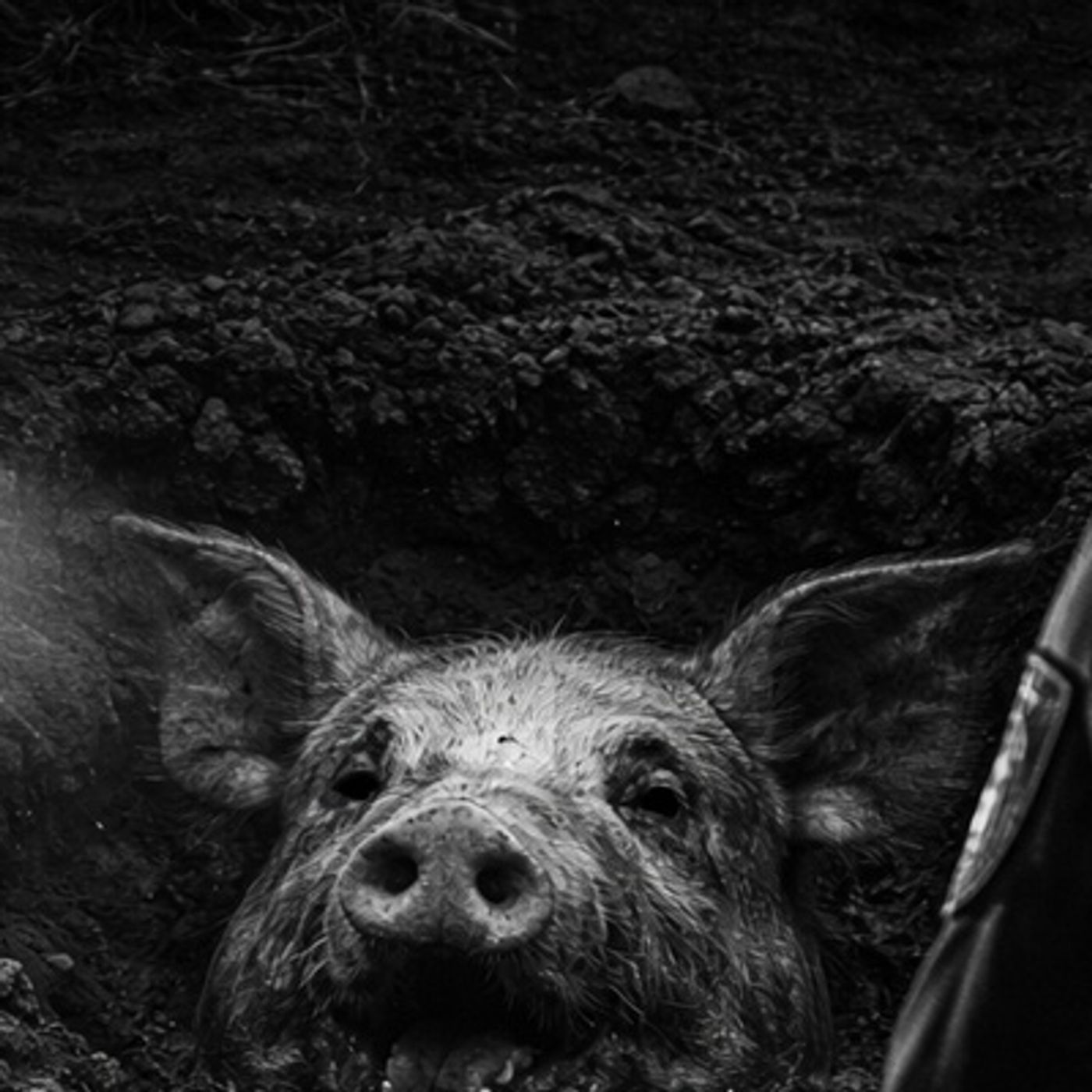 POLCÍAS De Atienden Un Llamado De Alguien Sin Vida Historias De Terror - REDE