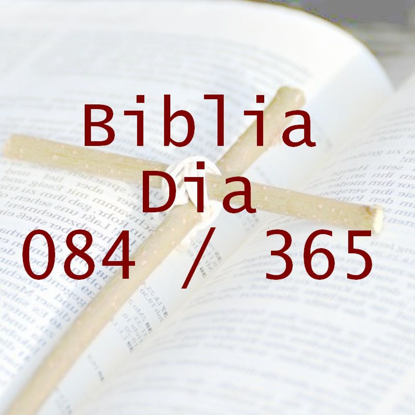 La Biblia en 365 dias