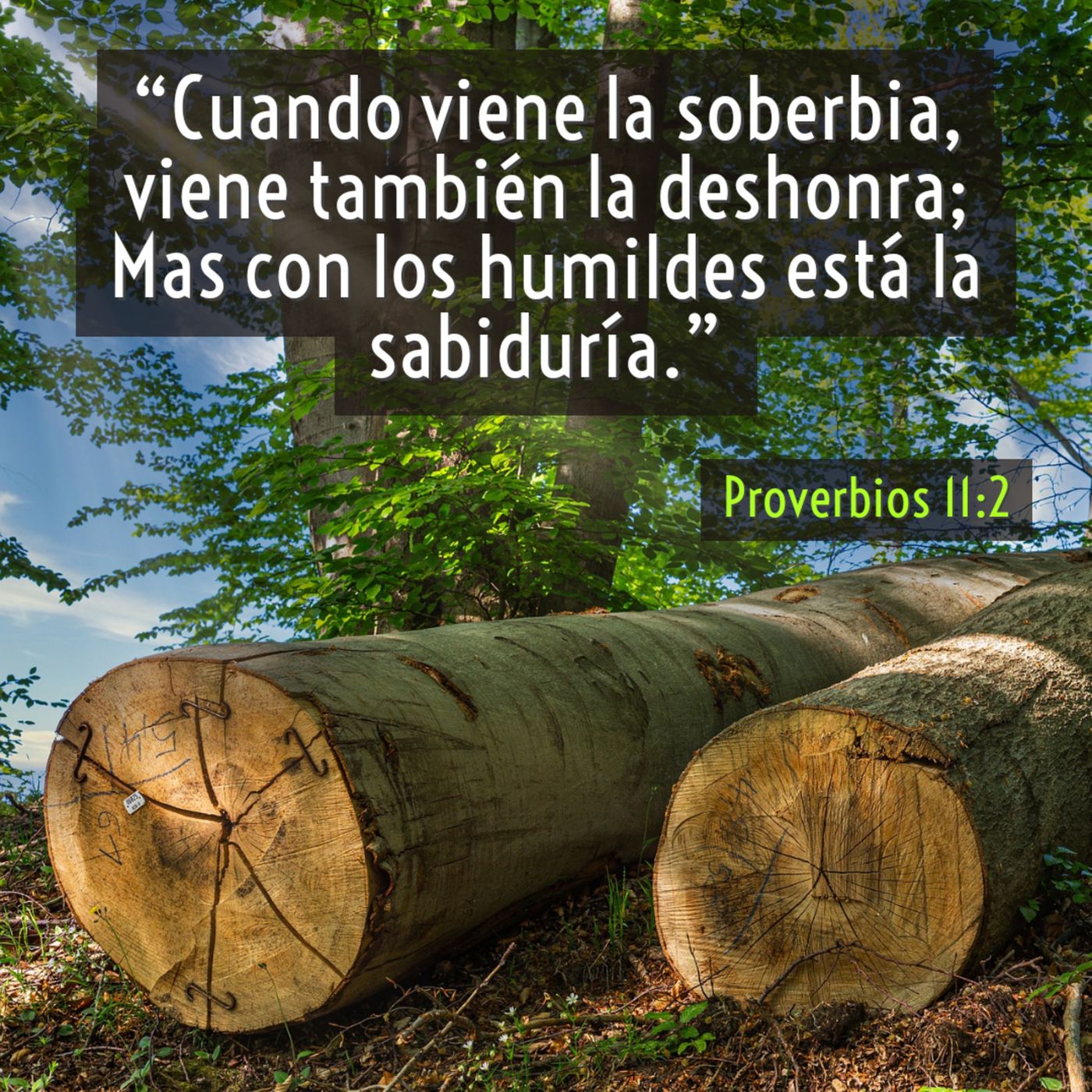 Joyas de Sabiduría (Libro de Proverbios)