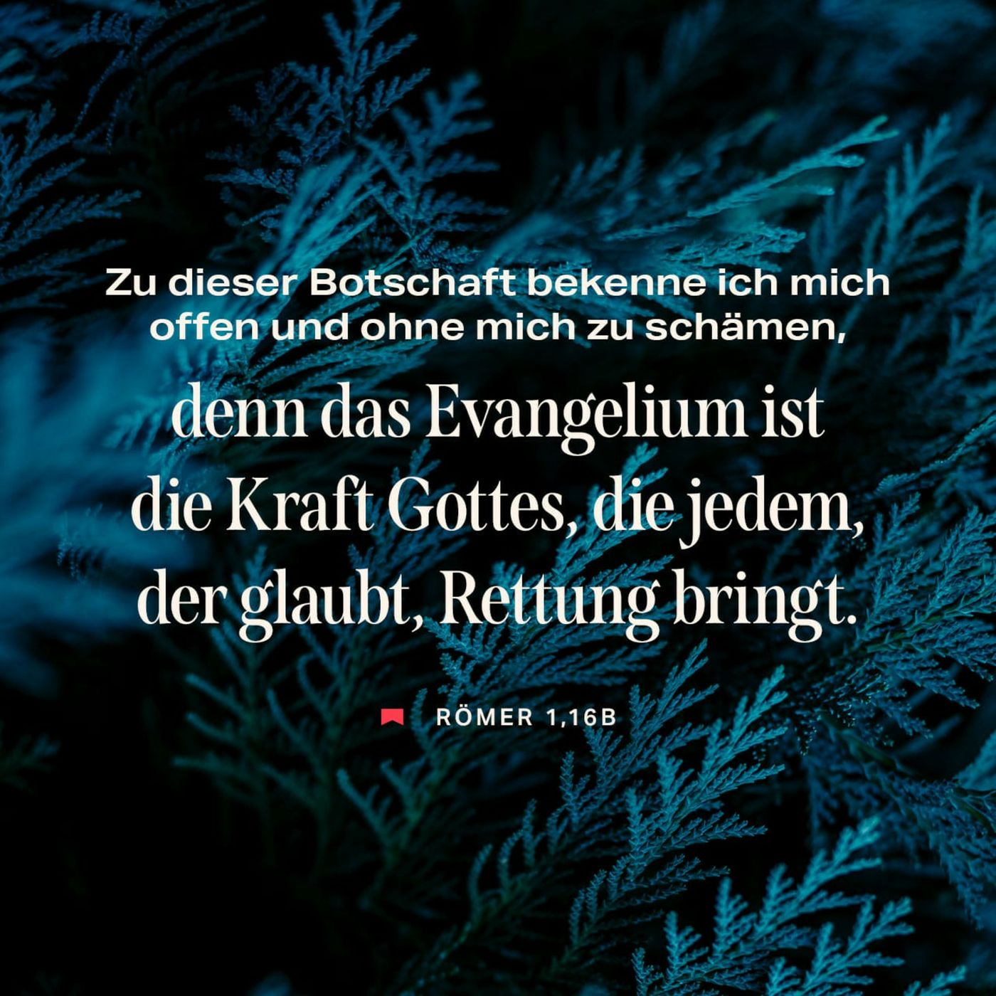 Mut zum Leben mit Jesus